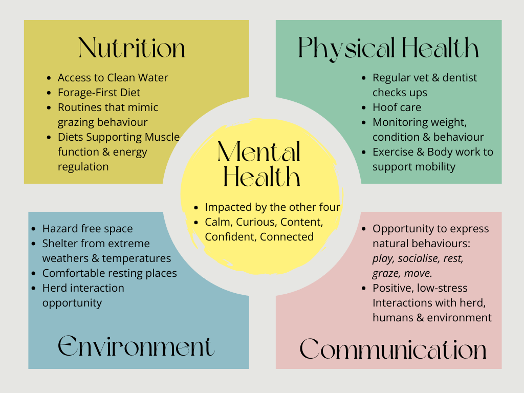 The Five Domains&nbsp;Model